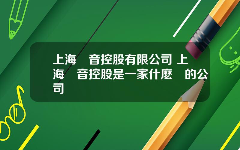 上海傳音控股有限公司 上海傳音控股是一家什麽樣的公司